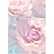 Розовые розы 21-0146-FR 2 м